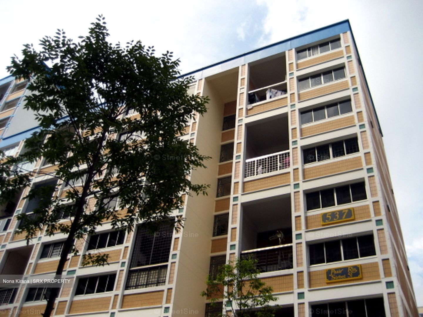 Blk 537 Pasir Ris Street 51 (Pasir Ris), HDB Executive #558834331